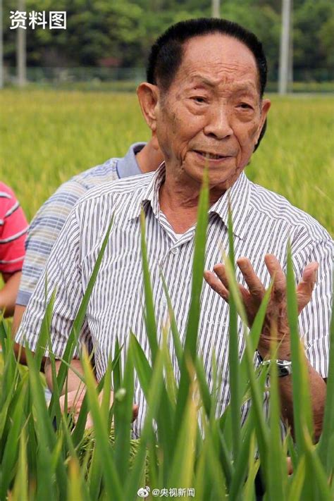 袁隆平和水稻 - 堆糖，美图壁纸兴趣社区