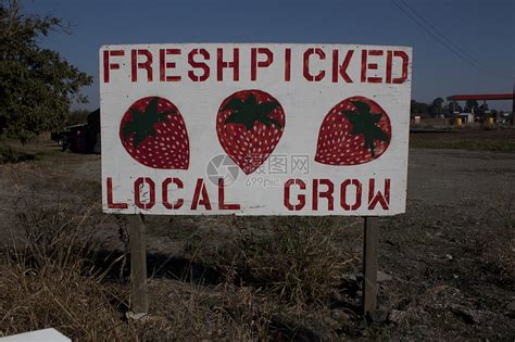 当地种植的草莓标志牌农产品里程食物蓝色美食水果纸板摄影红色天空高清图片下载-正版图片320692757-摄图网