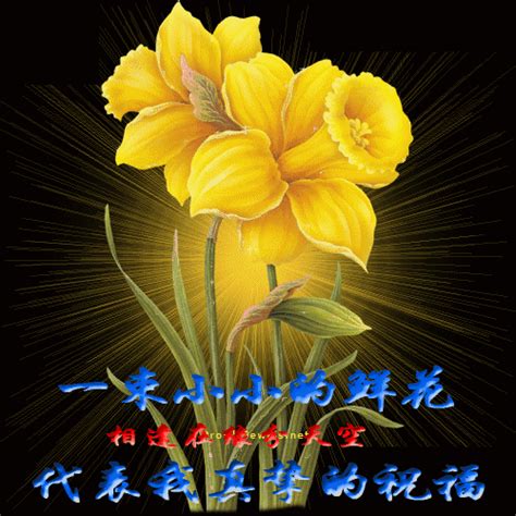 中午好的图片