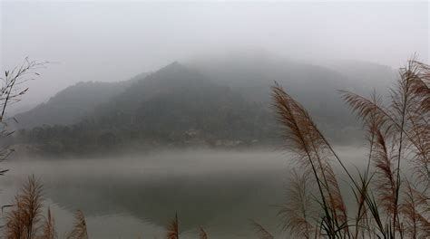 雾蒙蒙的树林自然风景高清摄影jpg图片免费下载_编号1pehekmkz_图精灵