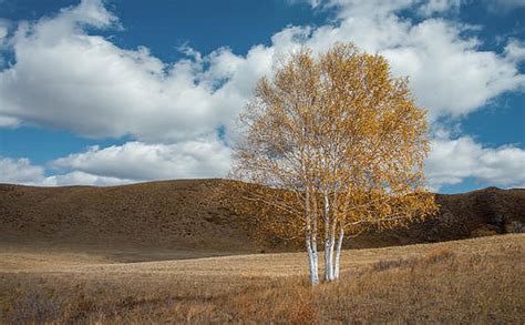 秋天草原上的美丽景色摄影图5760*3549图片素材免费下载-编号719332-潮点视频