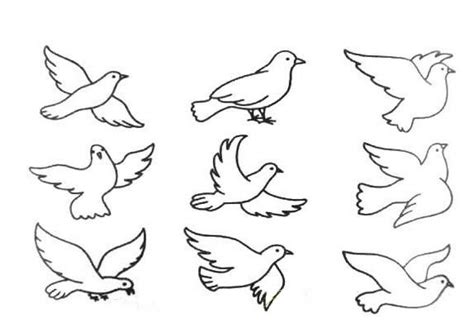鸽子怎么画铅笔画,鸽子怎么画简单,鸽子怎么画一步一步_文秘苑图库
