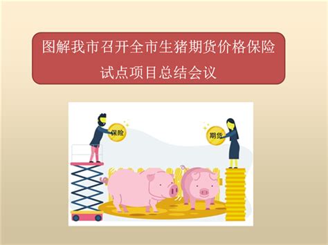 生猪养殖户眼中的期货密码：关注期货价格信号，及时“落袋为安” ，规避价格波动风险 - 猪好多网