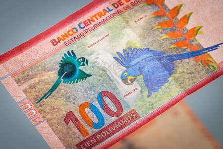 阿根廷货币比索高面额高清图片下载-正版图片505736613-摄图网