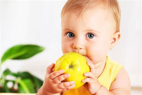 宝宝吃什么水果好(选择温和的水果)_水果洽购网