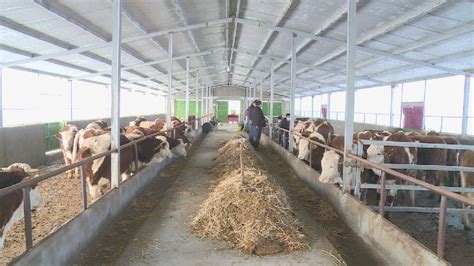 新疆阿瓦提县：畜牧产业迎来发展新高潮_县域经济网