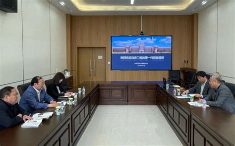 政府-内蒙古电子科技有限责任公司