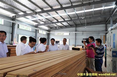 建筑模板,沭阳苏东木业高质量供应,价格便宜