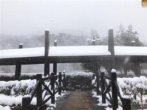 一起看雪的句子汇总(60句)_下雪的句子