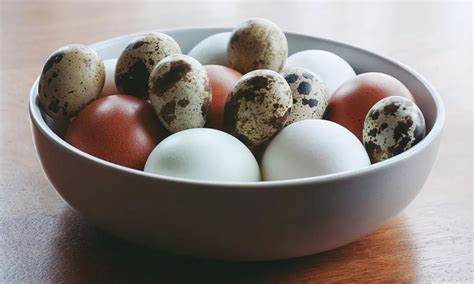 鸡蛋和鸭蛋放入碗中。高清摄影大图-千库网