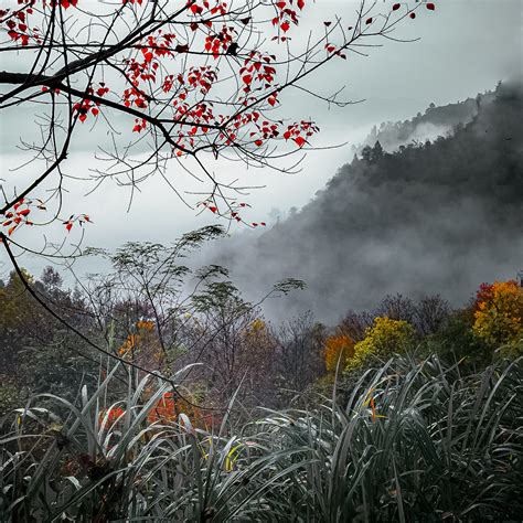 深秋最耀眼的桂林山水，享不尽的美景让人大开眼界|桂林山水|美景|山水_新浪新闻
