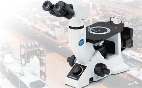 奥林巴斯Olympus显微镜GX41放大倍数-化工仪器网