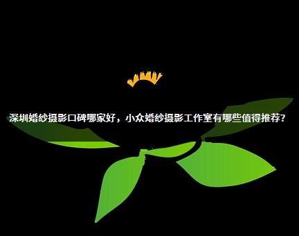 深圳摄影文化新地标 影像哈苏品牌体验区正式开幕 - 软件与服务 - 中国软件网-推动ICT产业的健康发展