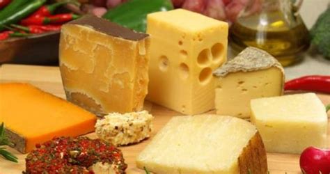 乳酪、奶酪、干酪、芝士、起司是一样的吗？教你如何区分它们|奶酪|芝士|起司_新浪新闻