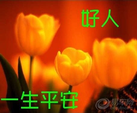 一生平安图片