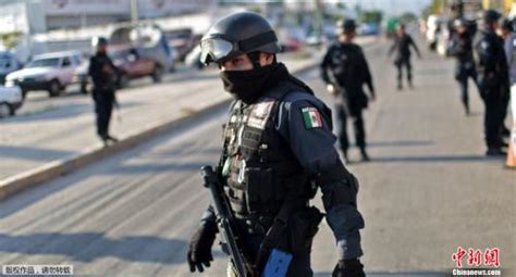 研究表明有89 名政治家在墨西哥竞选活动中被杀 - 俄罗斯卫星通讯社