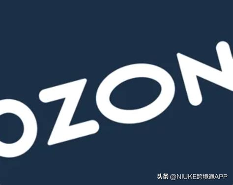 Ozon平台Ozon ID是什么(教你如何设置Ozon ID) | 零壹电商