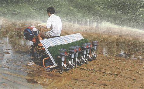 4.6.2.14 2ZT—9356型机动水稻插秧机-中华农器-图片