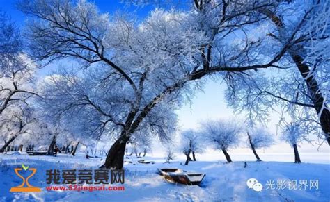 黑龙江冬季旅游哪里好 黑龙江冬季有什么好玩的地方_旅泊网