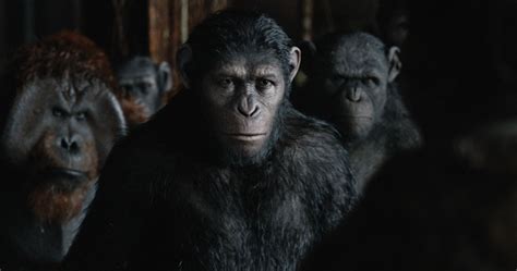 《猩球崛起2》是如何把一群猩猩拍的这么好看！_影视_火星时代