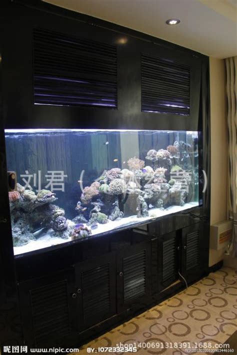 清洗鱼缸的正确方法，按照这个步骤来就可以-上海装潢网