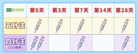 手被猫咬了，还肿了？牢记这3点，及时进行处理 - 上游新闻·汇聚向上的力量