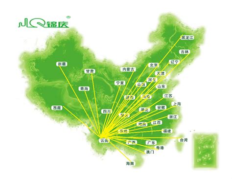 云南保山：推广咖啡套种技术，品质收入双提升-云南省林业和草原局-关注森林网