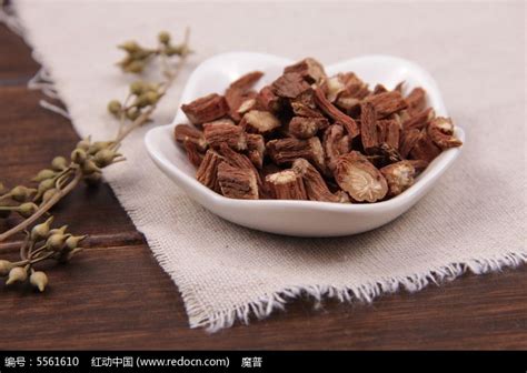 丹参中药图片