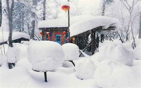 林海雪原与中国雪乡|摄影|风光|魔浪 - 原创作品 - 站酷 (ZCOOL)