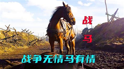 美国《战马》War Horse电影剧本中英文对照[PDF/1.02MB]百度云网盘下载 – 外圈因