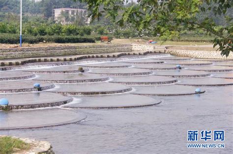 中国农科院都市农业研究所 成都市科学技术推广中心联合赴蒲江开展专题调研