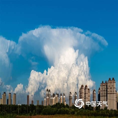未来2小时哈尔滨有雷雨天气 局地阵风6-7级_手机新浪网