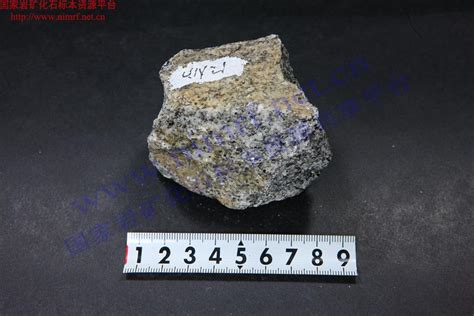 中粗粒花岗岩_Medium-Coarse Grained Granite_国家岩矿化石标本资源共享平台