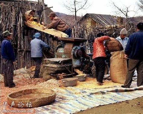 温馨的上世纪七，八十年代东北农村老照片（第二页） - 图说历史|国内 - 华声论坛