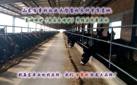 甘肃省定西市安定区73.6亩肉驴养殖基地转让- 聚土网