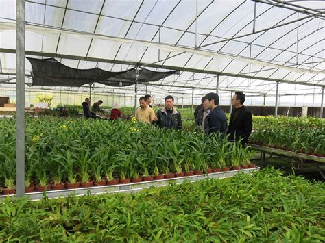 浙江省农业农村厅关于做好2020年基层农技推广体系改革与建设补助项目实施工作的通知