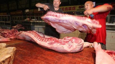 30块的猪肉“吃不起”，为何不让农民养猪？专家说的3点很现实__财经头条