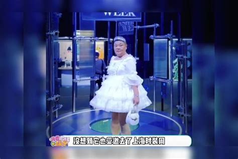 上海安福路上的“小公主”：50岁留寸头，身材矮胖，却美得很独特|安福|小公主|身材_新浪新闻