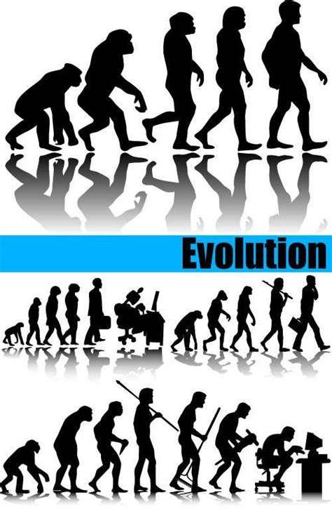 人类进化论 - 快懂百科