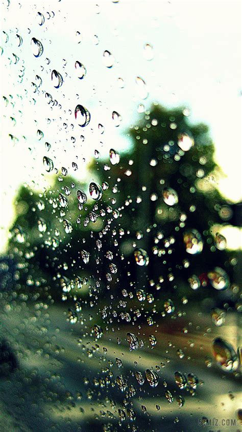 滴 雨 水 珍珠 元素 泡沫 窗口 玻璃 玻璃图片免费下载 - 觅知网