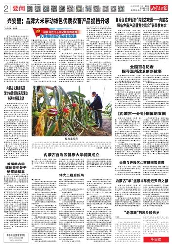 内蒙古日报数字报-兴安盟： 品牌大米带动绿色优质农畜产品提档升级