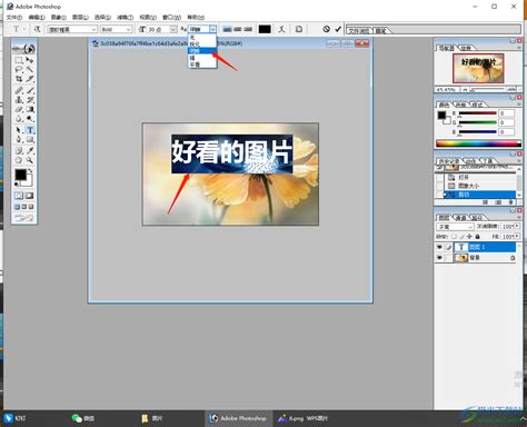 biaji~图片