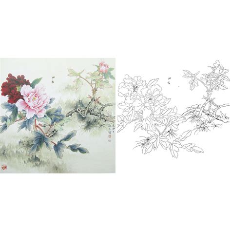 画素材 牡丹 白描 线稿 黑白 植物 花… - 堆糖，美图壁纸兴趣社区