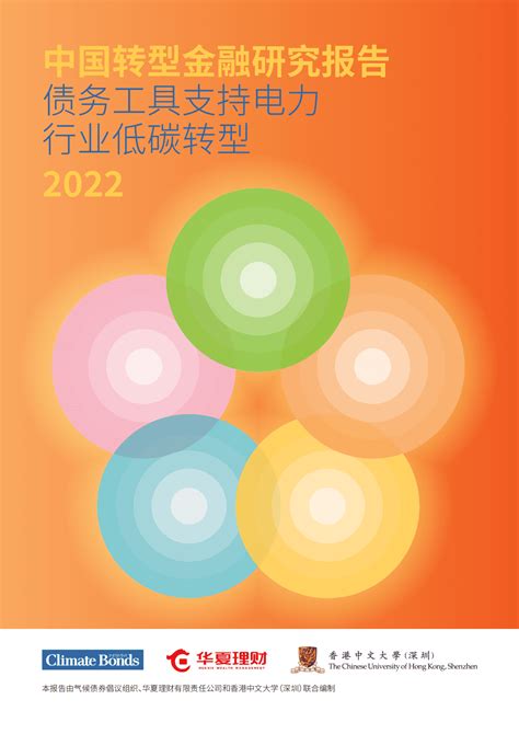 华夏理财：中国转型金融研究报告：债务工具支持电力行业低碳转型2022 | 先导研报