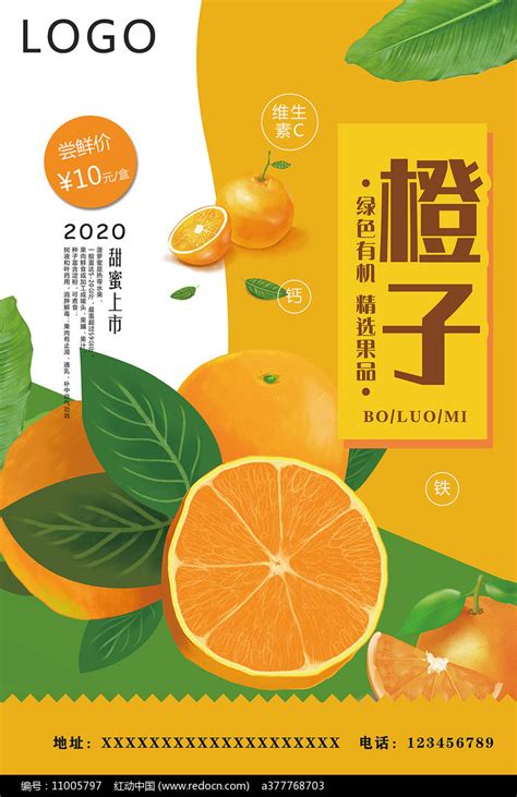 橙子广告海报素材_餐饮美食图片_海报图片_第7张_红动中国