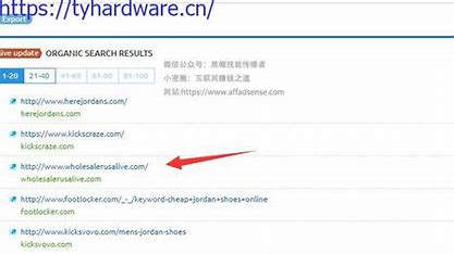 深圳外贸仿牌网站优化软件 的图像结果