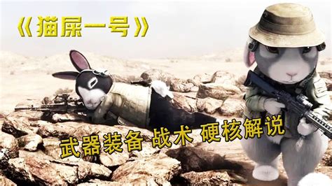 《猫屎一号》当萌兔子拿起武器，一样是特种战士_腾讯视频