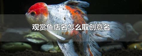 鱼和什么字最配取店名,(第16页)_大山谷图库