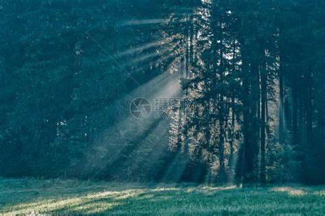多雾路段季节阳光日出时在公园的神秘迷雾路径背景上闪耀光线高清图片下载-正版图片307732129-摄图网