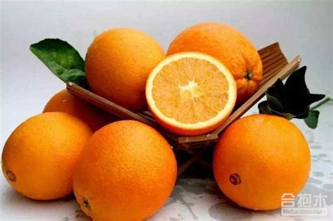 橙子的功效与作用，橙子怎么美容？